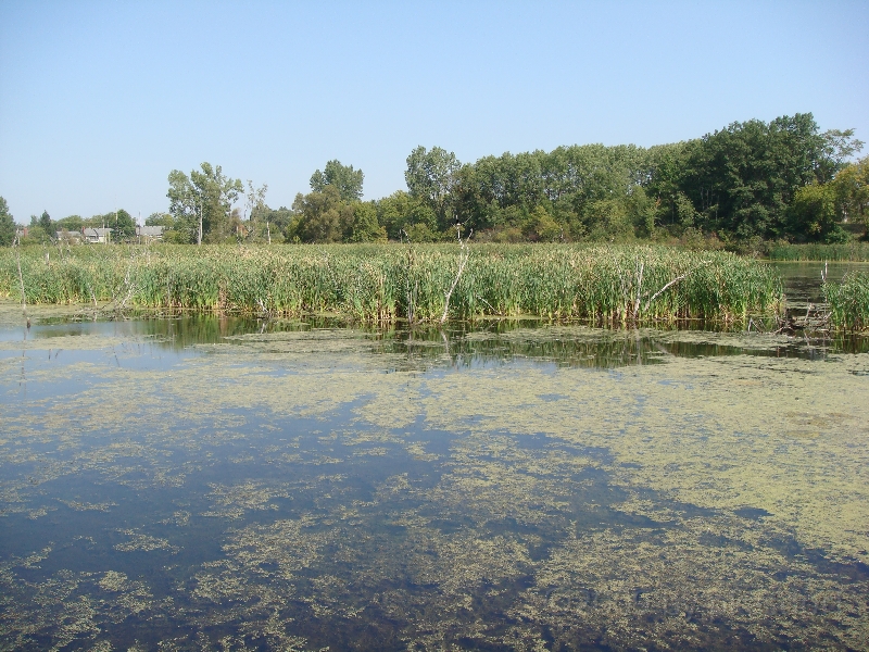 Western Michigan [2009] 370.JPG - Scenes from Frederik Meijer Gardens & Sculpture Park.